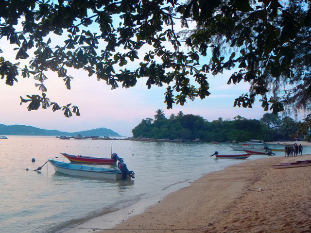 plage bateaux arbre iles perhentians malaisie