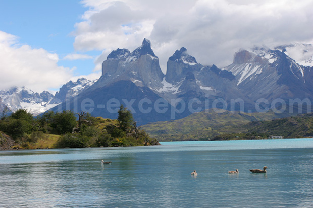 Parc Torres del Paine, Chili - Blog Voyage Trace Ta Route