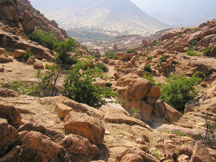 Randonnée à cheval au Maroc - paysage rocailleux anti-atlas maroc - blog voyage trace ta route