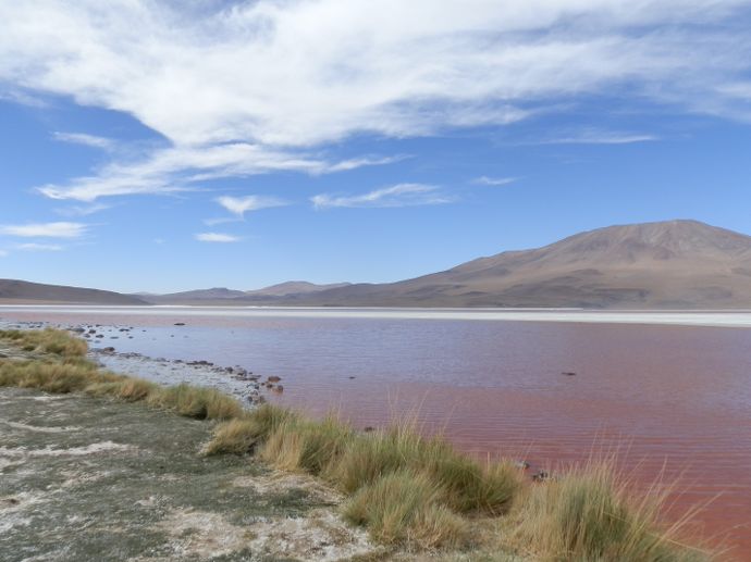 laguna colorada sud lipez bolivie - blog voyage trace ta route