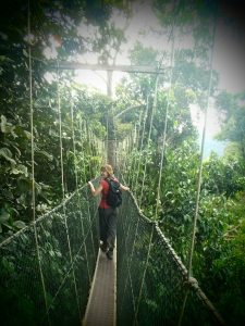 Kanopy Walk jungle au Taman Negara, Malaisie