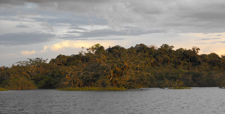 La lagune de Cuyabeno, Amazonie, Equateur - Trace ta Route, le blog de voyage