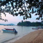 plage bateaux arbre iles perhentians malaisie