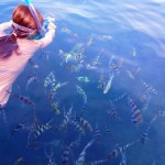 snorkeling poissons tropicaux iles perhentians malaisie