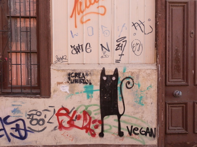 street art valparaiso chat noir blog voyage trace ta route