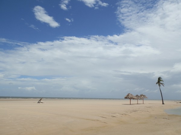 île marajo au brésil, praia do pesqueiro - blog voyage trace ta route