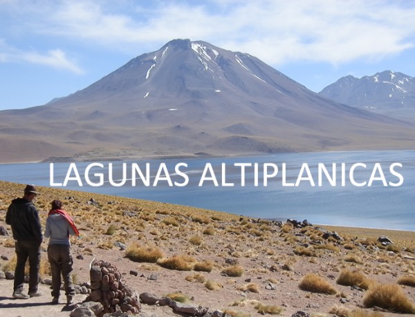 san pedro de atacama lagunas altiplanicas - blog voyage trace ta route