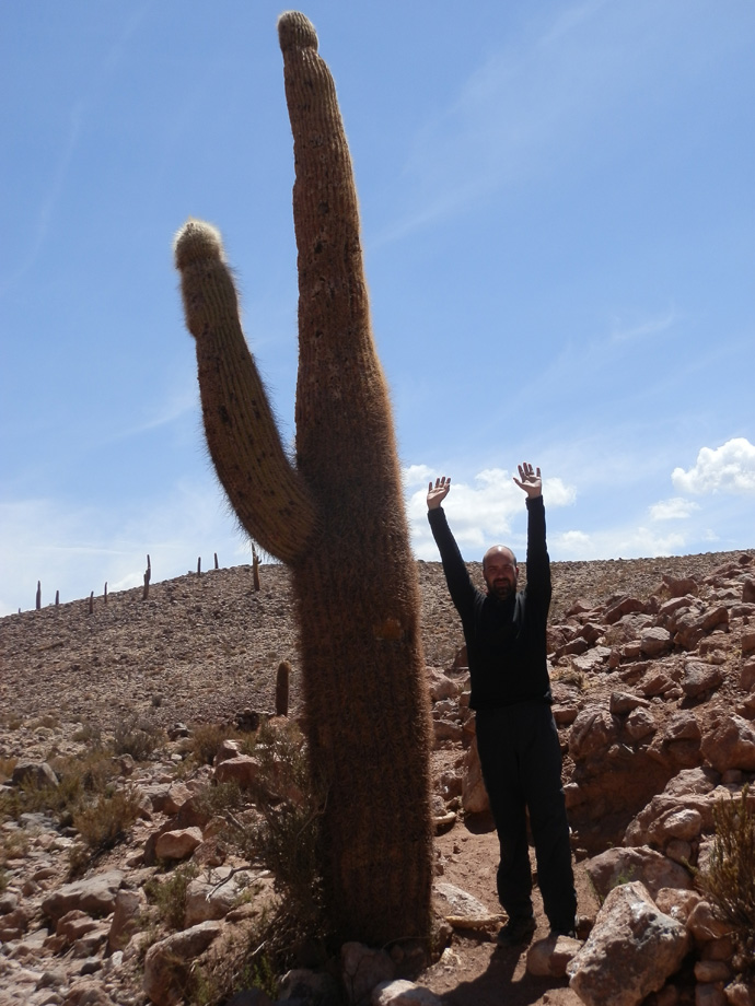 tristan #tracelemonde cactus geysers el tatio san pedro de atacama blog voyage trace ta route