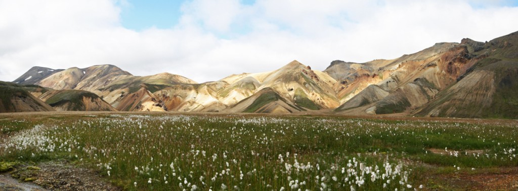 Linaigrettes Montagne Vondugil Landmannalaugar Islande Paysage Iceland Islensk Wild Outdoor Hiking Mountain Landscape