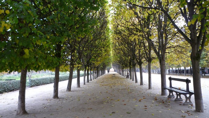 Jardin du Palais Royal Paris France Tourisme Voyage Garden Park Trees