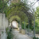 jardins à l'italienne de bardini à florence blog voyage