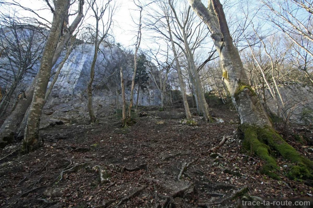 Sentier dans les sous-bois, à la Dent du Chat