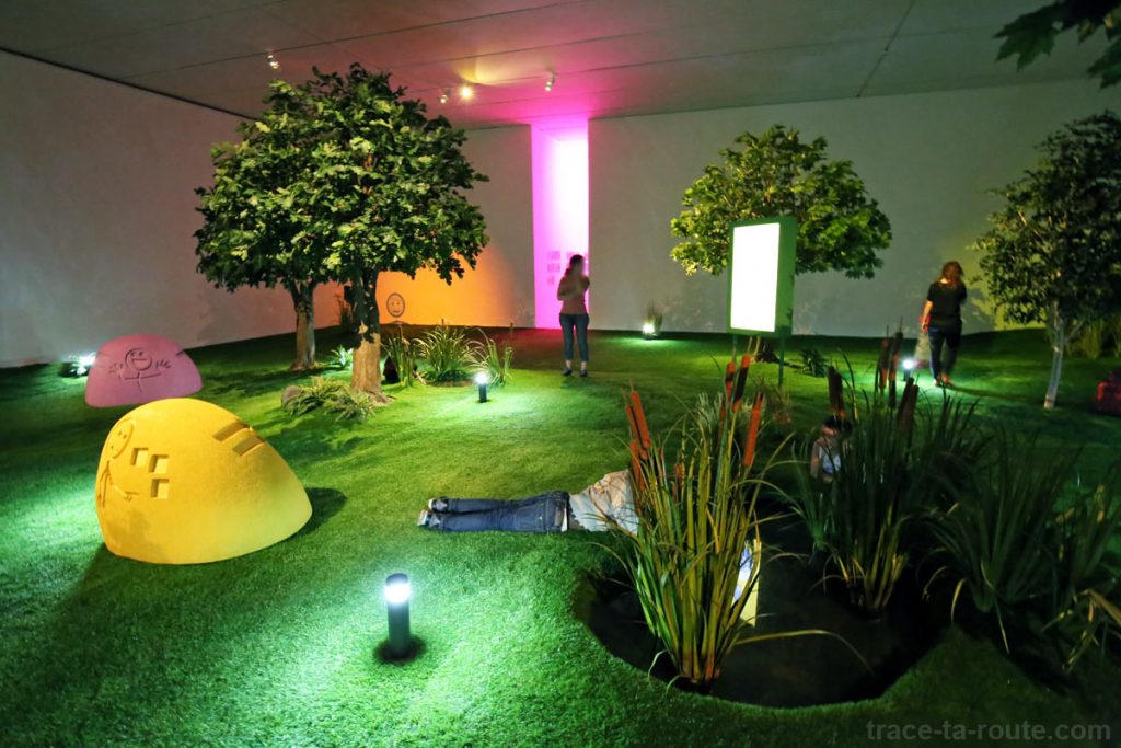 "Jardin synthétique à l'isolement" (2014-2015) Antoine CATALA - Exposition MAC Lyon