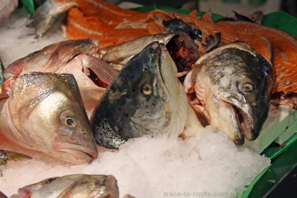 Étal de poissons à la Boqueria, marché de Barcelone