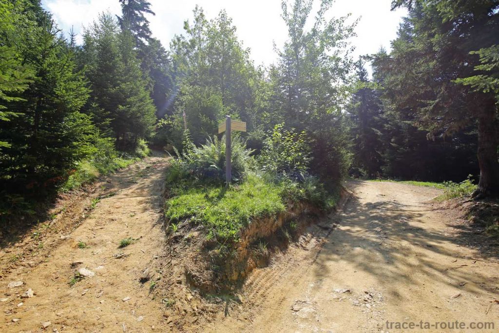 Sentiers de randonnée au Parmelan - Bois Brulé, Villaz