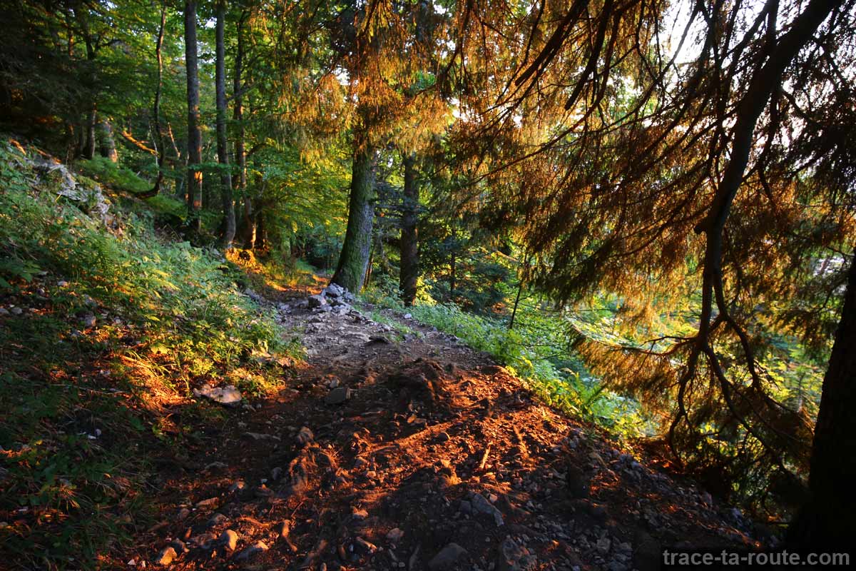 sentier randonnée Coucher de soleil automne Parmelan - Bois Brulé, Villaz