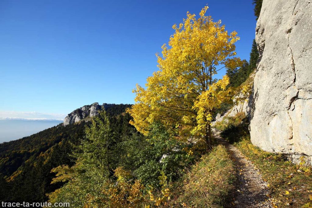 Arbre couleur automne randonnée traversée Grand Montoir -> Petit Montoir au Parmelan