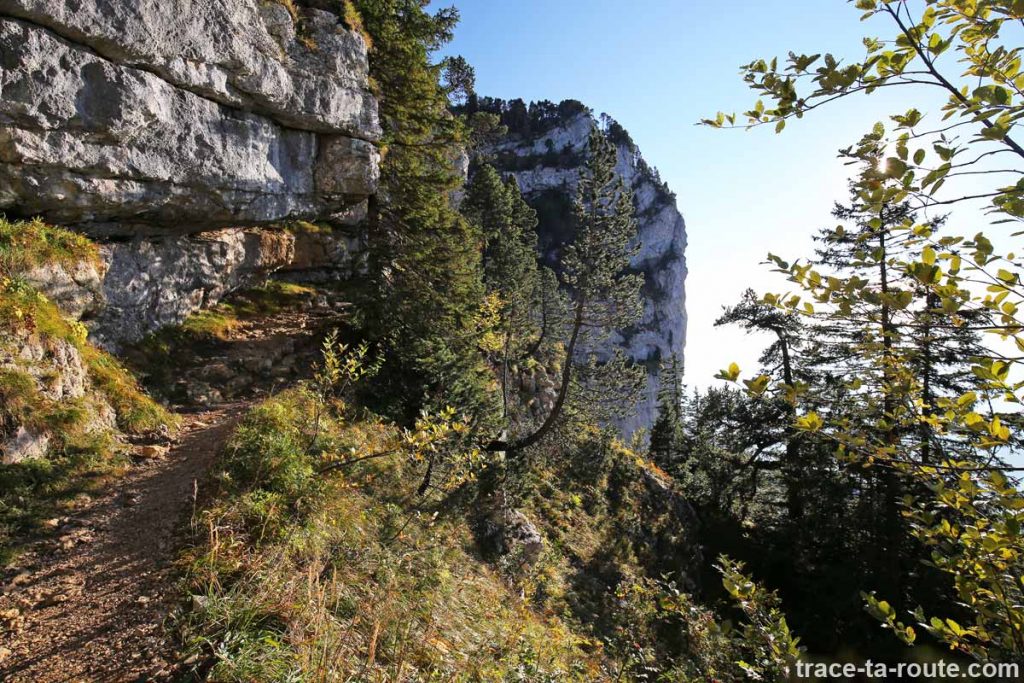 Le Grand Montoir Parmelan - sentier randonnée