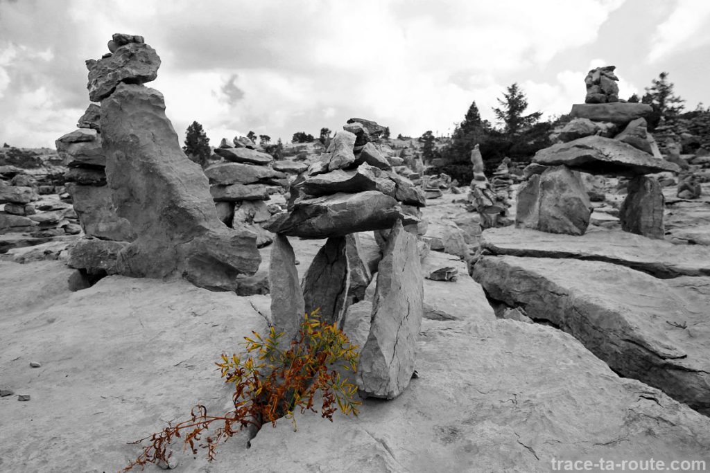 Sculptures de pierres sur le Plateau du Parmelan