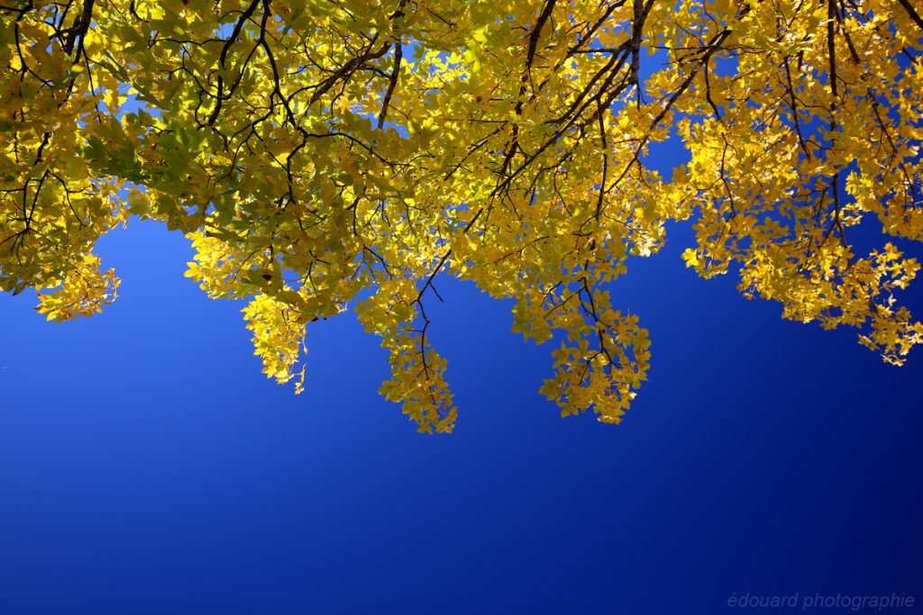 Couleurs d'automne au Parmelan © édouard photographie