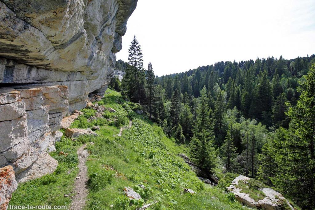 Sentier de randonnée au sommet du Pinet (Chartreuse)