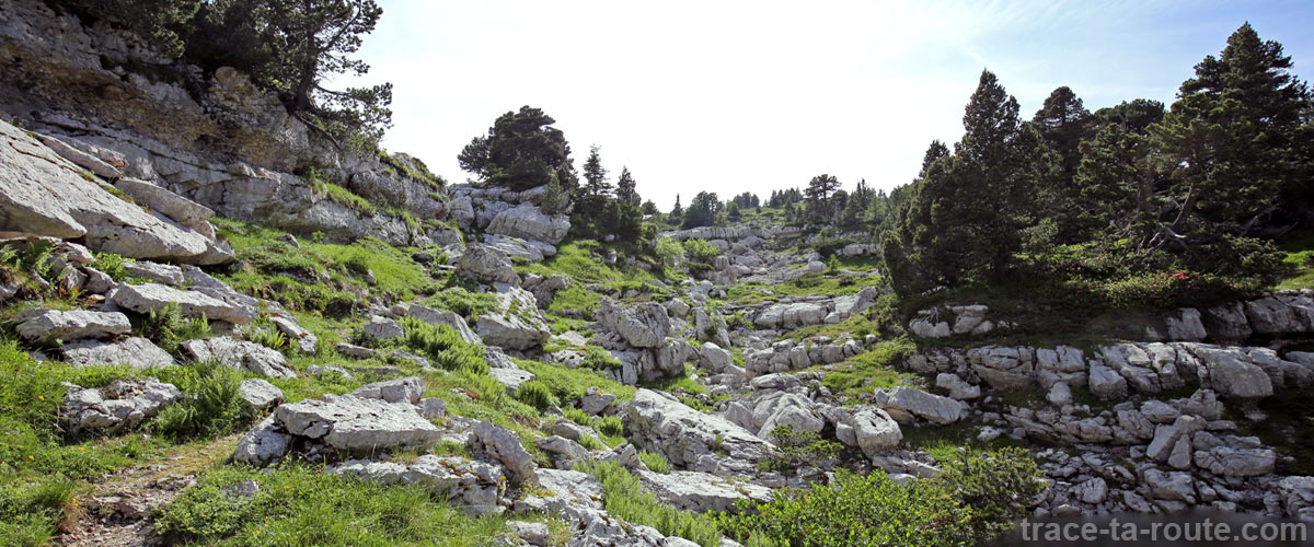 Sentier de randonnée au sommet du Pinet (Chartreuse)