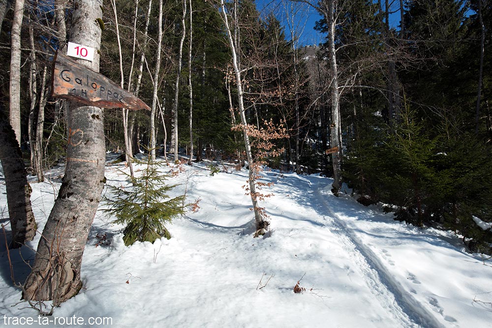 Itinéraire sentier randonnée raquettes en neige sous le Col de Combe Servenne - Pointe de la Galoppaz - Bauges