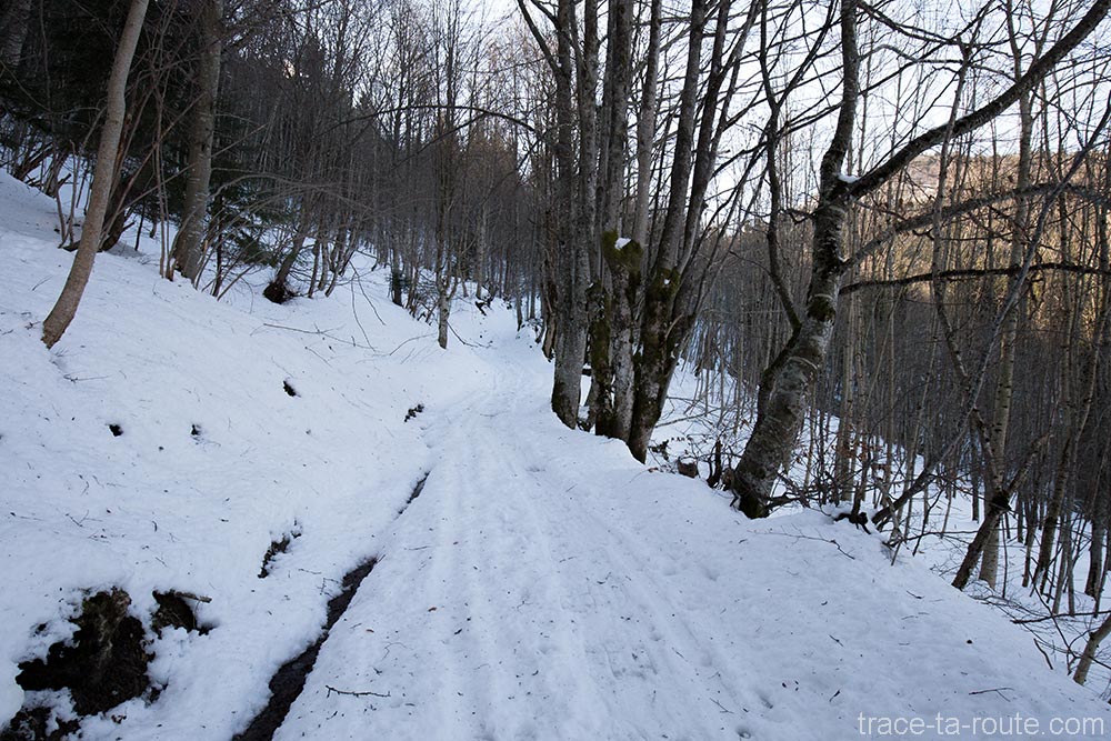 Sentier dans la Combe Servenne en neige - randonnée raquettes Pointe de la Galoppaz - Bauges