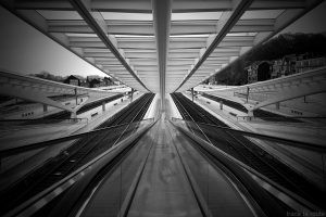 Rails et quais - Gare des Guillemins Liège - Santiago Calatrava