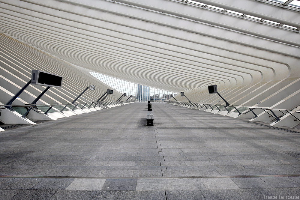 Architecture Gare des Guillemins Liège - Santiago Calatrava