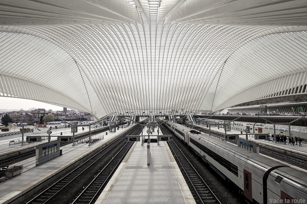 Architecture Gare des Guillemins Liège - Santiago Calatrava - Quais rails trains Toit voute en verre