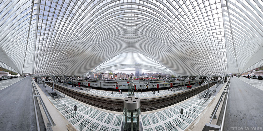 Architecture Gare des Guillemins Liège - Santiago Calatrava - Quais trains Toit voute en verre