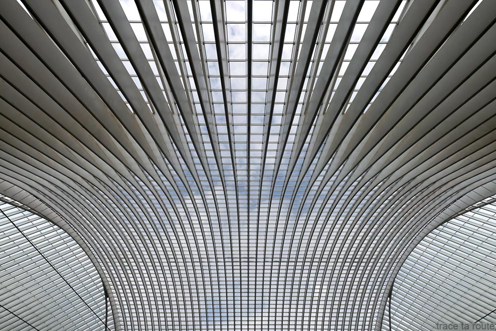 Architecture Gare des Guillemins Liège - Santiago Calatrava - Toit voute en verre