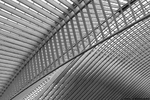 Architecture Gare des Guillemins Liège - Santiago Calatrava - structure poutre béton Toit voute en verre © L'Oeil d'Édouard
