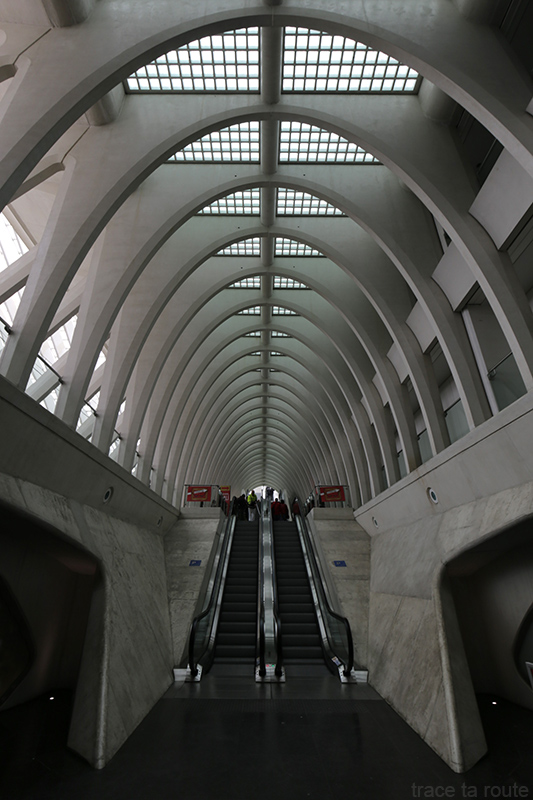 Architecture Gare des Guillemins Liège - Santiago Calatrava - escalators