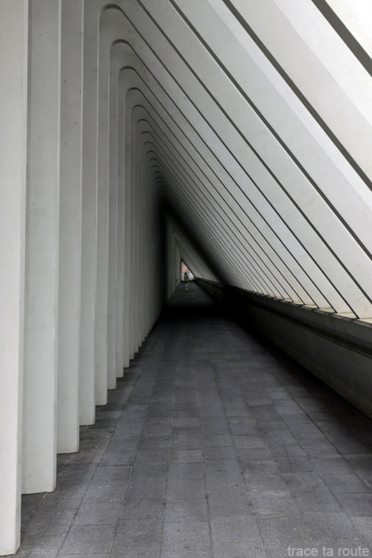 Architecture Gare des Guillemins Liège - Santiago Calatrava - couloir