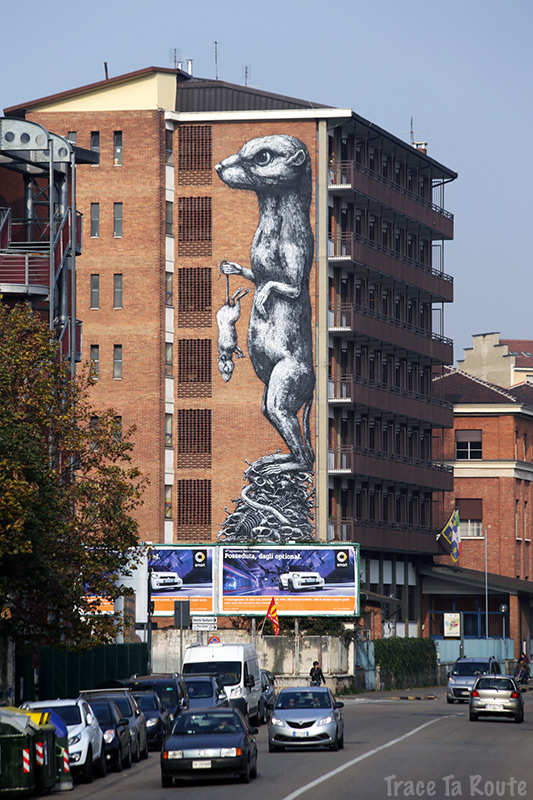 Fresque Street Art Rat par ROA à Turin, Lungo Dora Savona Torino