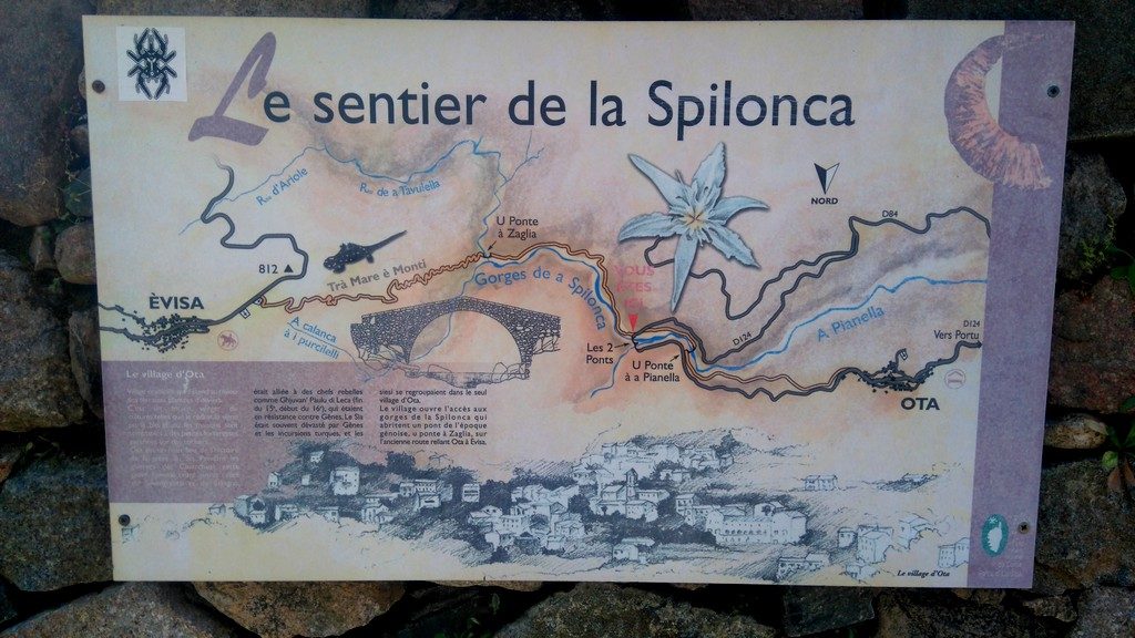 Etape de la randonnée du Mare e Monti en Corse, de Ota à Marignana, sentier de la rivière Spilonca