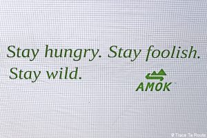 Test bâche Tarp 3.0 hamac Draumr 3.0 Amok Review Slogan Stay hungry Stay foolish Stay wild