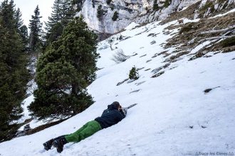 Photographie de bouquetins dans la Massif de la Chartreuse