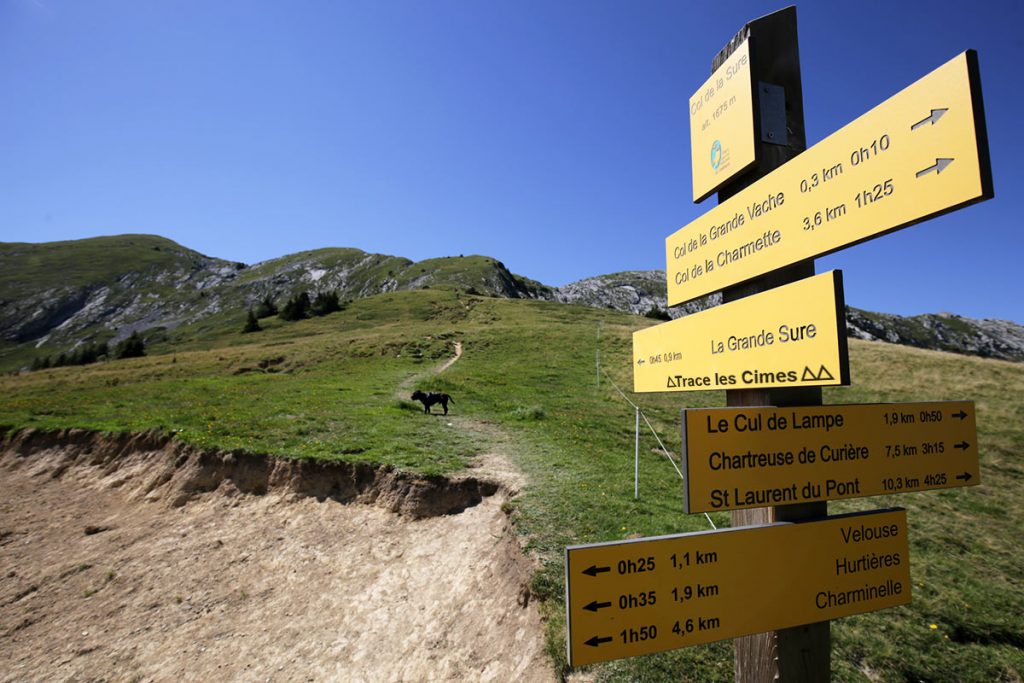 Itinéraire randonnée à la Grande Sure depuis le Col de la Sure - Massif de la Chartreuse