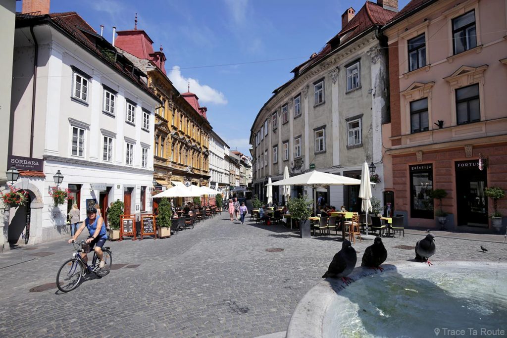 Place Strari trg dans la vieille ville de Ljubljana, Slovénie - Slovenia / Slovenija