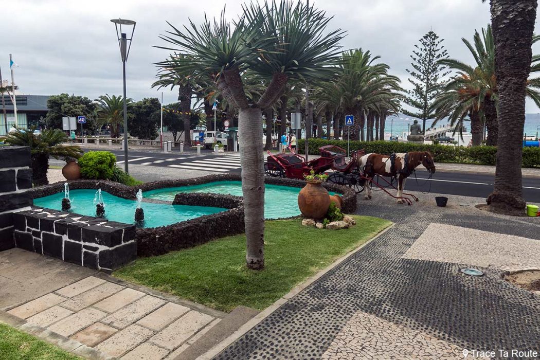 L'île de PORTO SANTO, journée détente au large de MADÈRE Blog Voyage