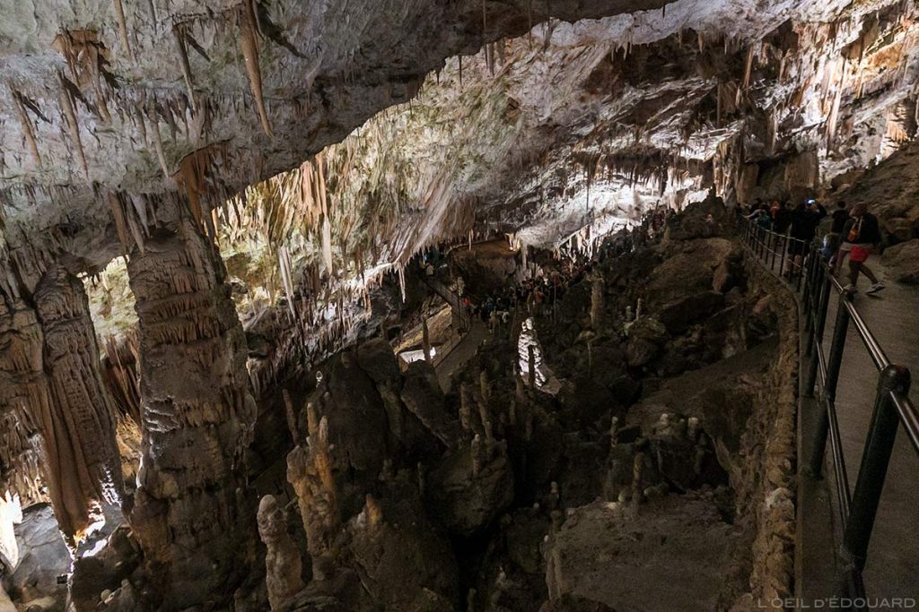 Stalactites dans la Grotte de Postojna, Slovénie - Postojnska jama Postojna cave Slovenia