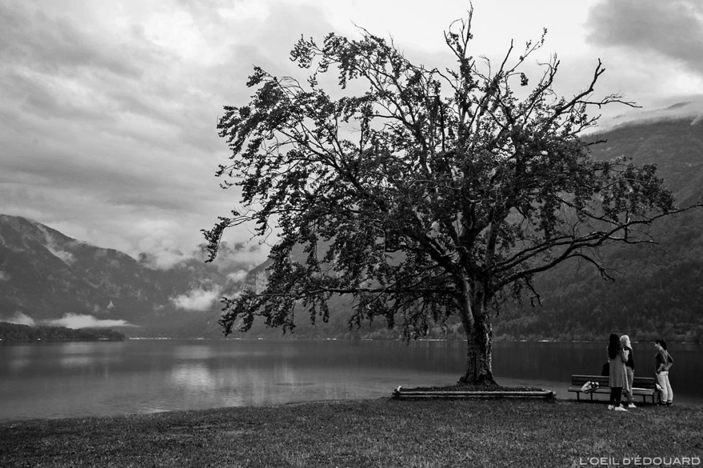Lac de Bohinj, Slovénie - Bohinj Lake, Slovenia / Ribčev Laz, Bohinjsko jezero, Slovenija © L'Oeil d'Édouard