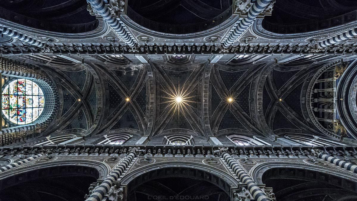 Cathédrale de Sienne - Intérieur Plafond voûte Nef Gothique Duomo di Siena (Santa Maria Assunta)