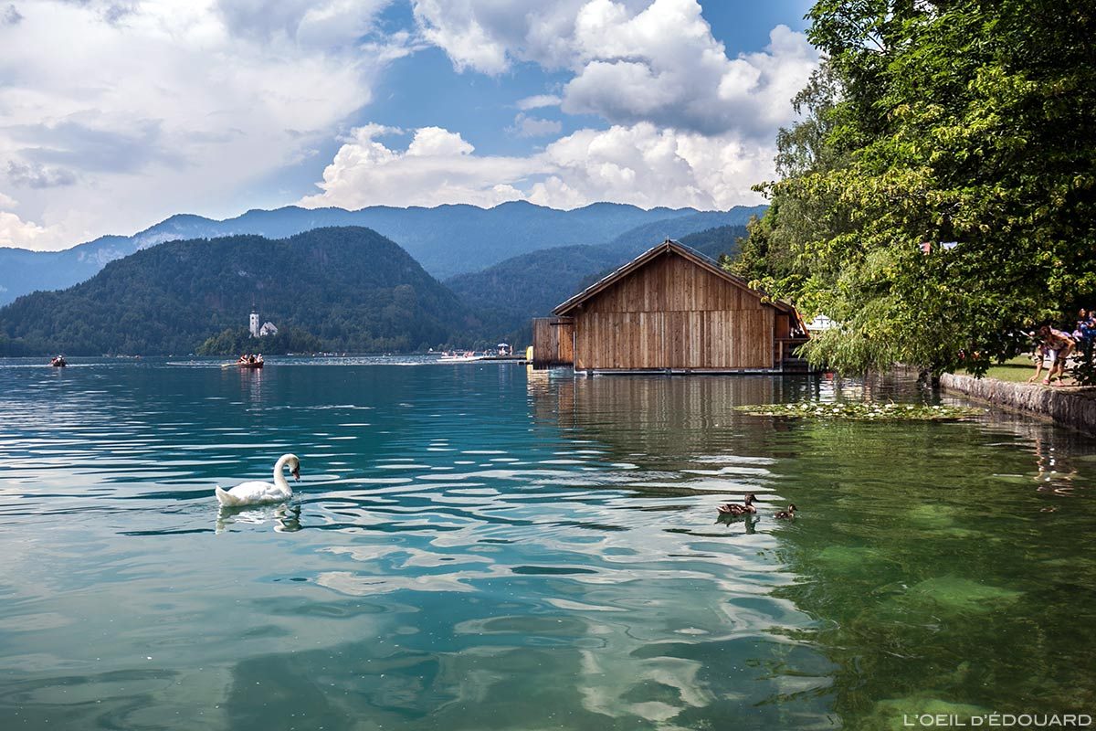 Lac de Bled, Slovénie - Blejsko jezero, Slovenia Slovenija
