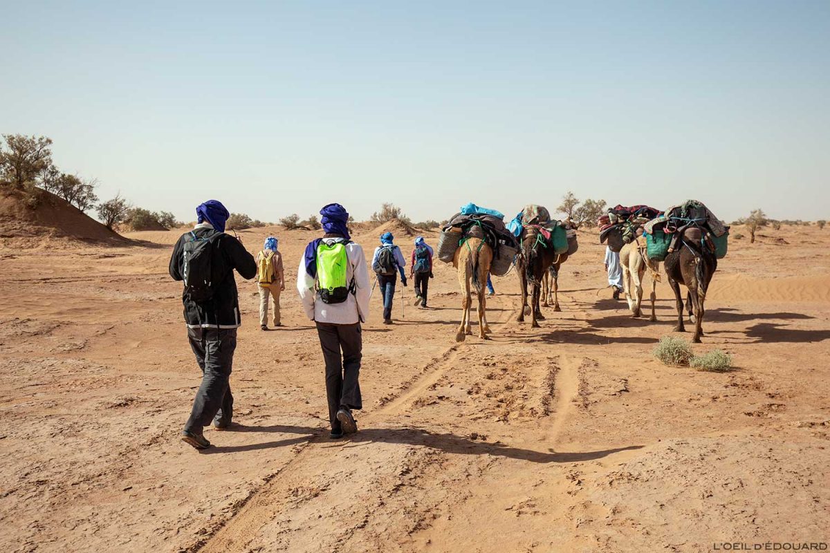 Trek dans le désert du Maroc avec les dromadaires