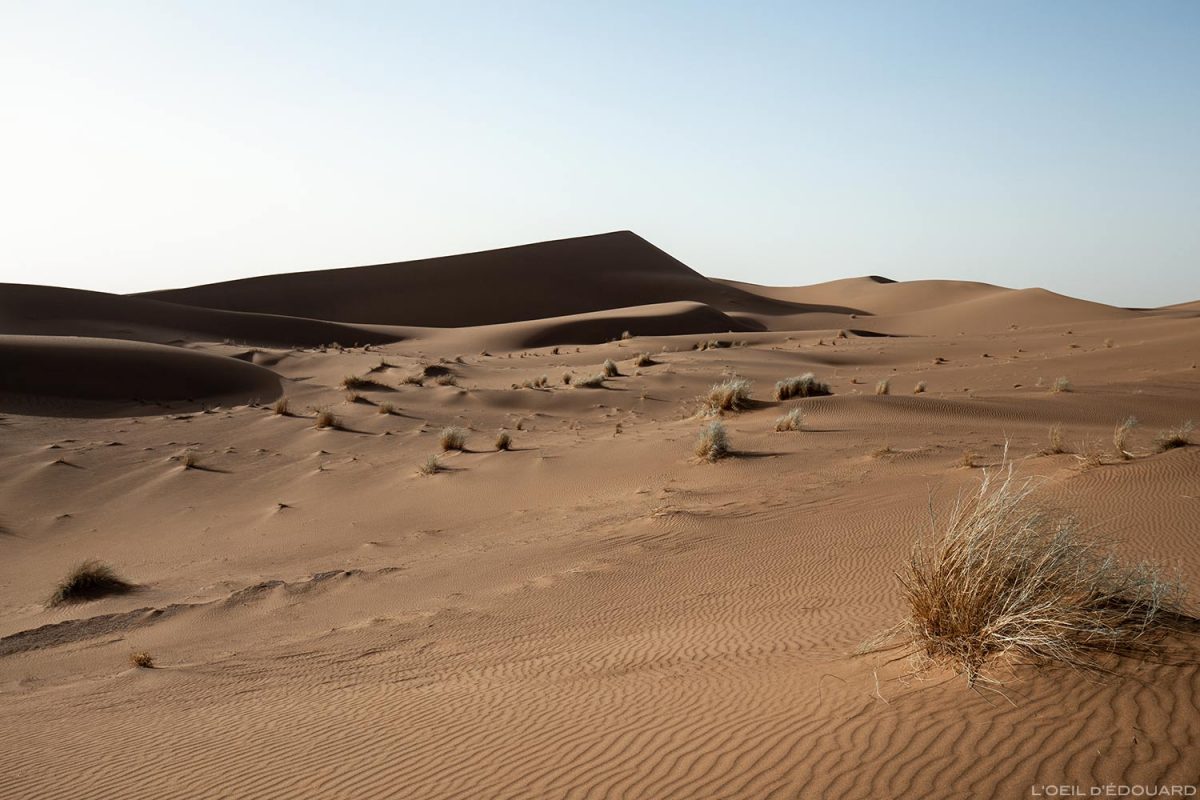 Dune de sable dans le désert du Maroc