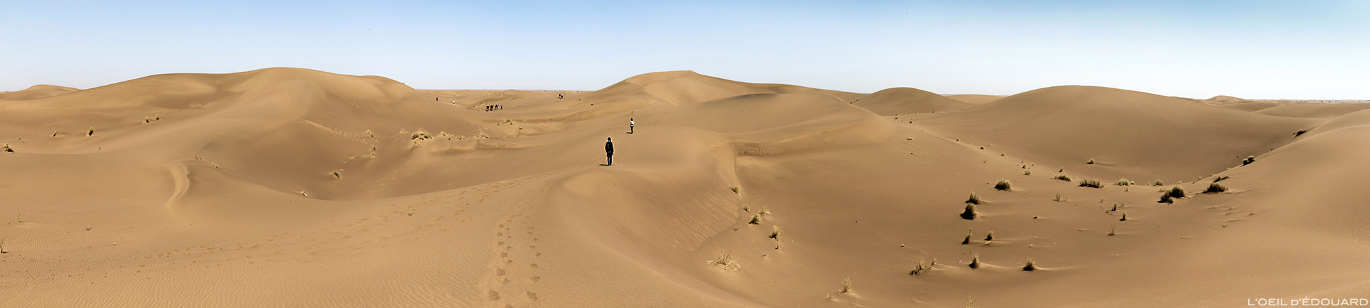 Dunes de sable dans le Désert du Maroc